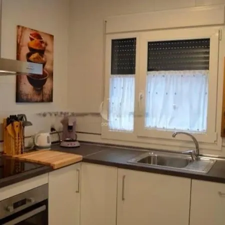 Lavanda * カディス